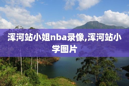 浑河站小姐nba录像,浑河站小学图片