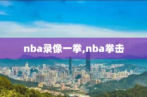 nba录像一拳,nba拳击