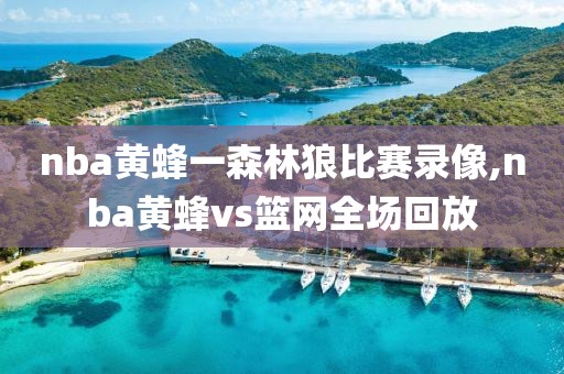 nba黄蜂一森林狼比赛录像,nba黄蜂vs篮网全场回放