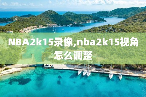 NBA2k15录像,nba2k15视角怎么调整