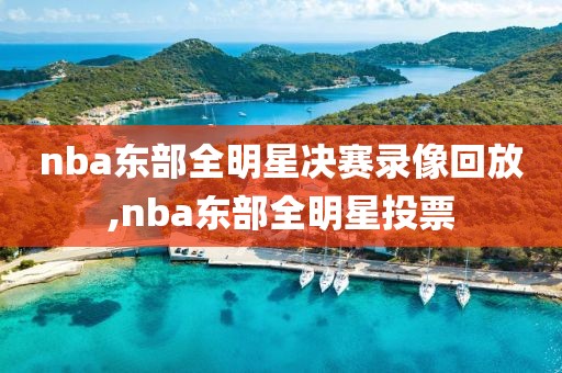 nba东部全明星决赛录像回放,nba东部全明星投票