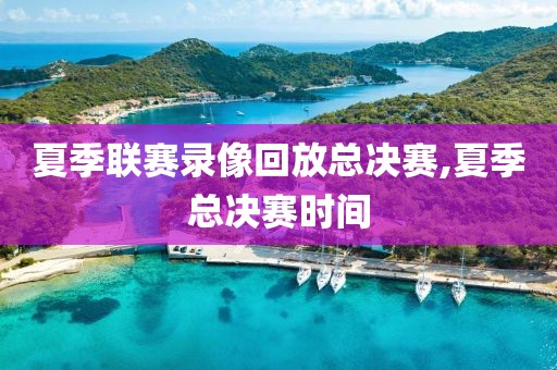 夏季联赛录像回放总决赛,夏季总决赛时间