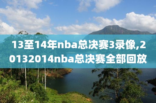 13至14年nba总决赛3录像,20132014nba总决赛全部回放