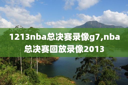 1213nba总决赛录像g7,nba总决赛回放录像2013