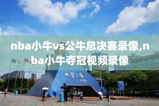 nba小牛vs公牛总决赛录像,nba小牛夺冠视频录像