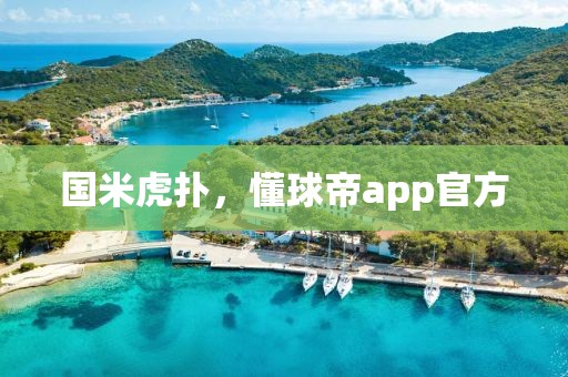 国米虎扑，懂球帝app官方