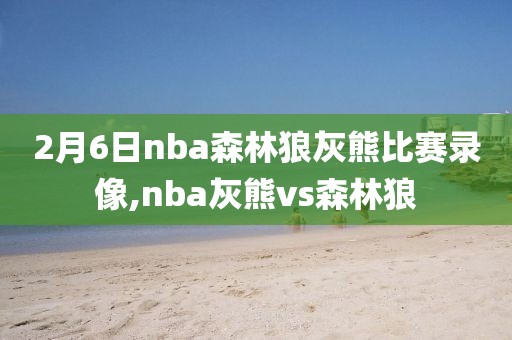 2月6日nba森林狼灰熊比赛录像,nba灰熊vs森林狼