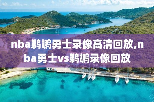 nba鹈鹕勇士录像高清回放,nba勇士vs鹈鹕录像回放