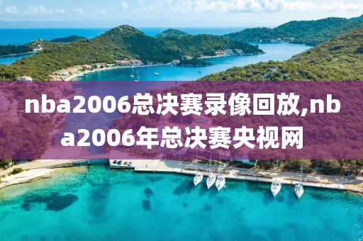 nba2006总决赛录像回放,nba2006年总决赛央视网